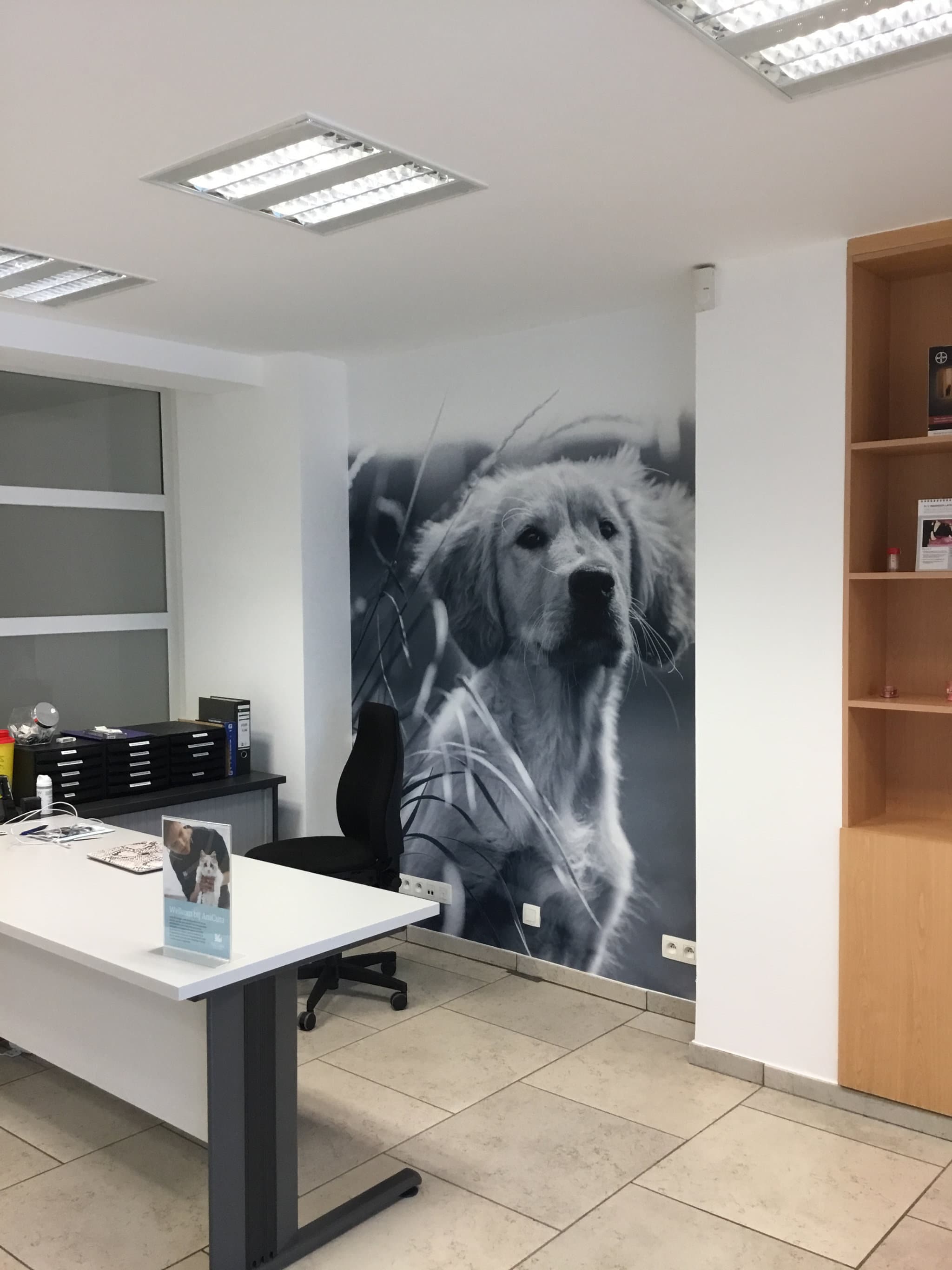 Sign & Display - Binnenreclame - Office branding - Anicura