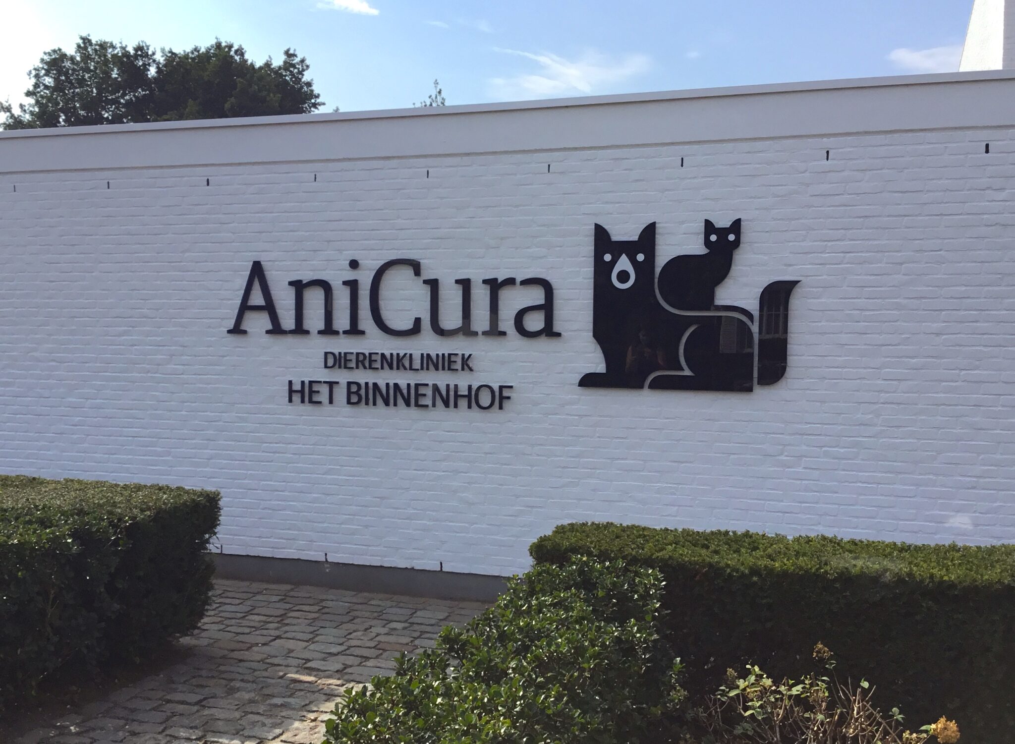 Anicura - freesletters - acrylaat - logo op muur